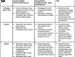 Pengertian Keterampilan Sosial Emosional dan Jenis-Jenisnya yang Penting untuk Guru, Kepala Sekolah, dan Pengawas Sekolah Pengertian Keterampilan Sosial Emosional dan Jenis-Jenisnya yang Penting untuk Guru, Kepala Sekolah, dan Pengawas Sekolah