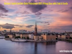 Beasiswa Swedish Institute Global Professionals 2025: Peluang Emas untuk Studi di Swedia