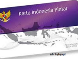 Proses Aktivasi Rekening PIP Diperpanjang Hingga 31 Januari 2025